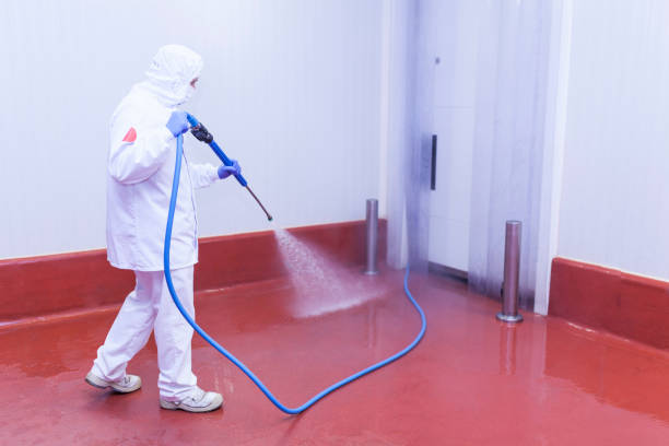  Gower, MO Pressure Washing Pros
